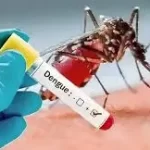 dengue test