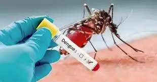 dengue test